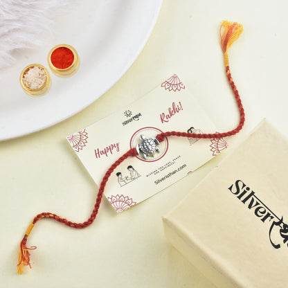 Silver Turtle Rakhi